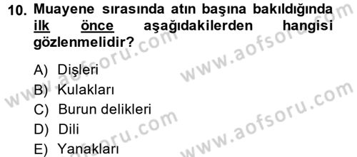 Temel Klinik Bilgisi Dersi 2013 - 2014 Yılı Tek Ders Sınavı 10. Soru