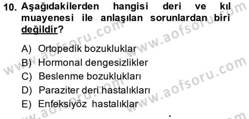 Temel Klinik Bilgisi Dersi 2014 - 2015 Yılı (Vize) Ara Sınavı 10. Soru