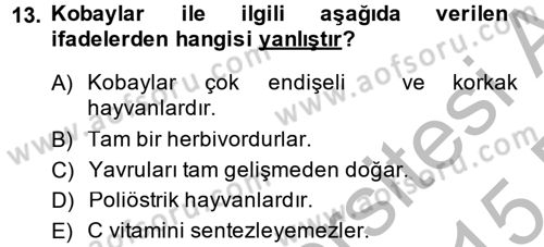 Temel Klinik Bilgisi Dersi 2014 - 2015 Yılı (Vize) Ara Sınavı 13. Soru