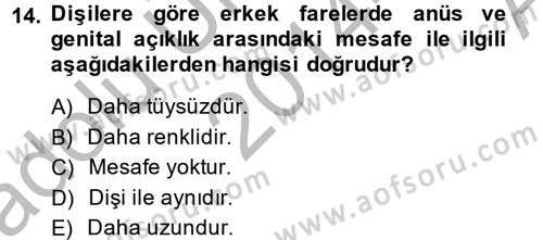 Temel Klinik Bilgisi Dersi 2014 - 2015 Yılı (Vize) Ara Sınavı 14. Soru