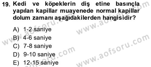 Temel Klinik Bilgisi Dersi 2014 - 2015 Yılı (Vize) Ara Sınavı 19. Soru