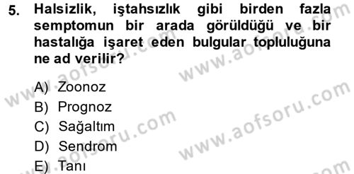 Temel Klinik Bilgisi Dersi 2014 - 2015 Yılı (Vize) Ara Sınavı 5. Soru