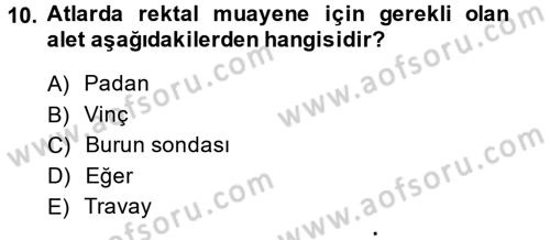 Temel Klinik Bilgisi Dersi 2014 - 2015 Yılı (Final) Dönem Sonu Sınav Soruları 10. Soru
