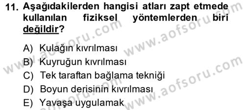 Temel Klinik Bilgisi Dersi 2014 - 2015 Yılı (Final) Dönem Sonu Sınav Soruları 11. Soru