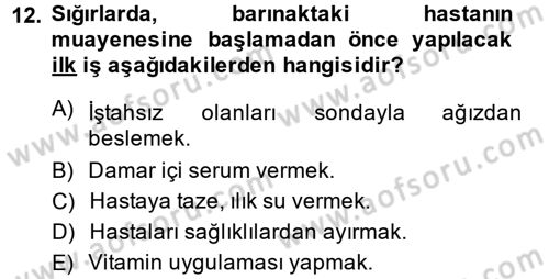 Temel Klinik Bilgisi Dersi 2014 - 2015 Yılı (Final) Dönem Sonu Sınav Soruları 12. Soru