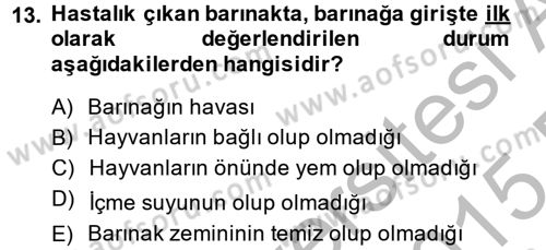 Temel Klinik Bilgisi Dersi 2014 - 2015 Yılı (Final) Dönem Sonu Sınav Soruları 13. Soru