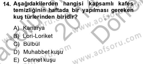 Temel Klinik Bilgisi Dersi 2014 - 2015 Yılı (Final) Dönem Sonu Sınav Soruları 14. Soru