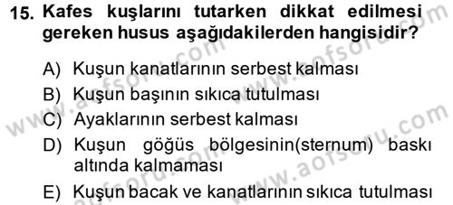 Temel Klinik Bilgisi Dersi 2014 - 2015 Yılı (Final) Dönem Sonu Sınav Soruları 15. Soru