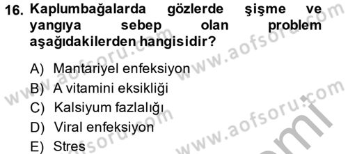 Temel Klinik Bilgisi Dersi 2014 - 2015 Yılı (Final) Dönem Sonu Sınav Soruları 16. Soru