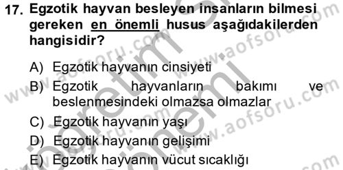 Temel Klinik Bilgisi Dersi 2014 - 2015 Yılı (Final) Dönem Sonu Sınav Soruları 17. Soru