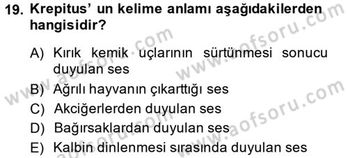 Temel Klinik Bilgisi Dersi 2014 - 2015 Yılı (Final) Dönem Sonu Sınav Soruları 19. Soru