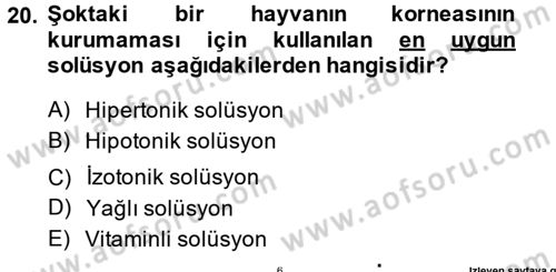 Temel Klinik Bilgisi Dersi 2014 - 2015 Yılı (Final) Dönem Sonu Sınav Soruları 20. Soru