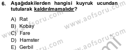 Temel Klinik Bilgisi Dersi 2014 - 2015 Yılı (Final) Dönem Sonu Sınav Soruları 6. Soru