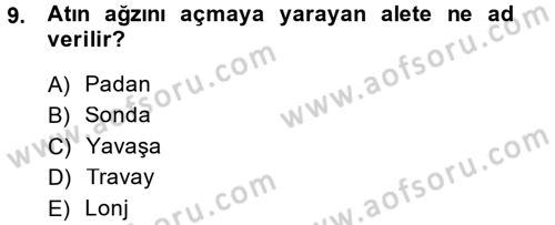 Temel Klinik Bilgisi Dersi 2014 - 2015 Yılı (Final) Dönem Sonu Sınav Soruları 9. Soru