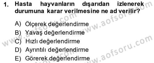 Temel Klinik Bilgisi Dersi 2014 - 2015 Yılı Tek Ders Sınav Soruları 1. Soru