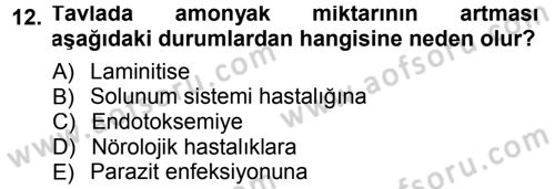 Temel Klinik Bilgisi Dersi 2014 - 2015 Yılı Tek Ders Sınav Soruları 12. Soru