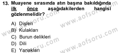 Temel Klinik Bilgisi Dersi 2014 - 2015 Yılı Tek Ders Sınav Soruları 13. Soru