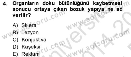 Temel Klinik Bilgisi Dersi 2014 - 2015 Yılı Tek Ders Sınav Soruları 4. Soru