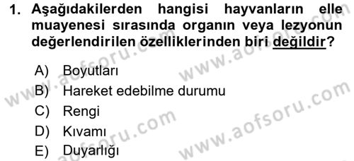 Temel Klinik Bilgisi Dersi 2015 - 2016 Yılı (Vize) Ara Sınav Soruları 1. Soru