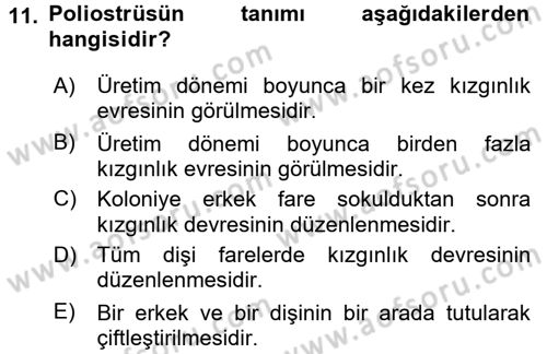 Temel Klinik Bilgisi Dersi 2015 - 2016 Yılı (Vize) Ara Sınav Soruları 11. Soru