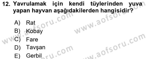 Temel Klinik Bilgisi Dersi 2015 - 2016 Yılı (Vize) Ara Sınav Soruları 12. Soru