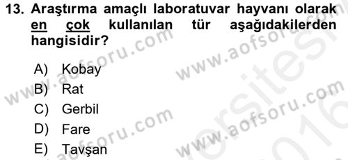 Temel Klinik Bilgisi Dersi 2015 - 2016 Yılı (Vize) Ara Sınav Soruları 13. Soru