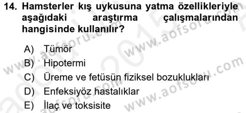 Temel Klinik Bilgisi Dersi 2015 - 2016 Yılı (Vize) Ara Sınav Soruları 14. Soru