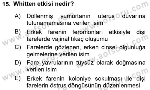 Temel Klinik Bilgisi Dersi 2015 - 2016 Yılı (Vize) Ara Sınav Soruları 15. Soru