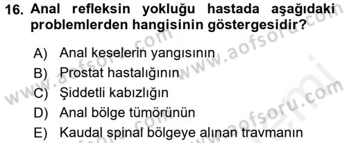 Temel Klinik Bilgisi Dersi 2015 - 2016 Yılı (Vize) Ara Sınav Soruları 16. Soru