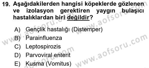 Temel Klinik Bilgisi Dersi 2015 - 2016 Yılı (Vize) Ara Sınav Soruları 19. Soru