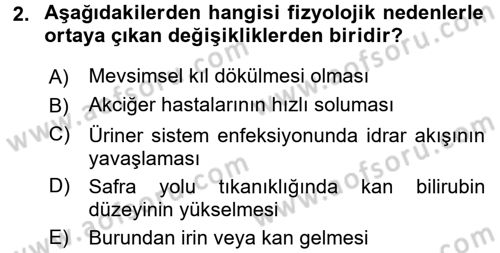 Temel Klinik Bilgisi Dersi 2015 - 2016 Yılı (Vize) Ara Sınav Soruları 2. Soru