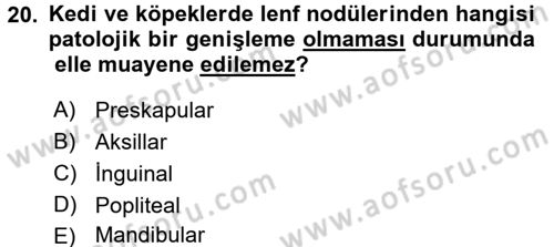 Temel Klinik Bilgisi Dersi 2015 - 2016 Yılı (Vize) Ara Sınav Soruları 20. Soru