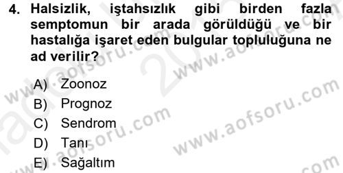 Temel Klinik Bilgisi Dersi 2015 - 2016 Yılı (Vize) Ara Sınav Soruları 4. Soru