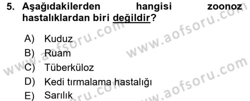 Temel Klinik Bilgisi Dersi 2015 - 2016 Yılı (Vize) Ara Sınav Soruları 5. Soru