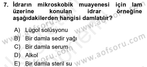 Temel Klinik Bilgisi Dersi 2015 - 2016 Yılı (Vize) Ara Sınav Soruları 7. Soru
