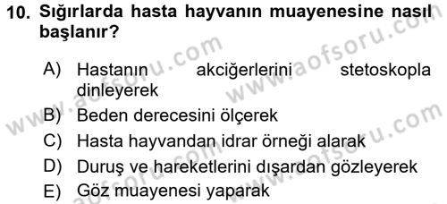 Temel Klinik Bilgisi Dersi 2015 - 2016 Yılı (Final) Dönem Sonu Sınav Soruları 10. Soru