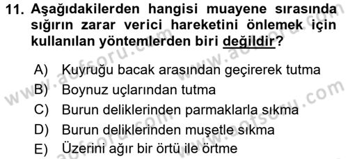 Temel Klinik Bilgisi Dersi 2015 - 2016 Yılı (Final) Dönem Sonu Sınav Soruları 11. Soru