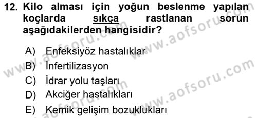 Temel Klinik Bilgisi Dersi 2015 - 2016 Yılı (Final) Dönem Sonu Sınav Soruları 12. Soru