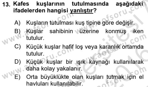 Temel Klinik Bilgisi Dersi 2015 - 2016 Yılı (Final) Dönem Sonu Sınav Soruları 13. Soru