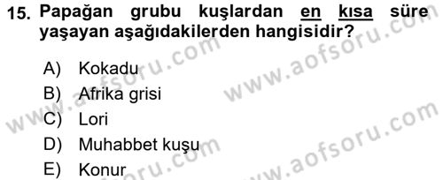 Temel Klinik Bilgisi Dersi 2015 - 2016 Yılı (Final) Dönem Sonu Sınav Soruları 15. Soru