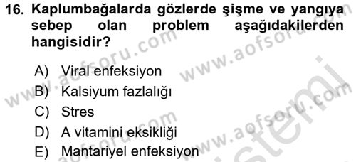 Temel Klinik Bilgisi Dersi 2015 - 2016 Yılı (Final) Dönem Sonu Sınav Soruları 16. Soru