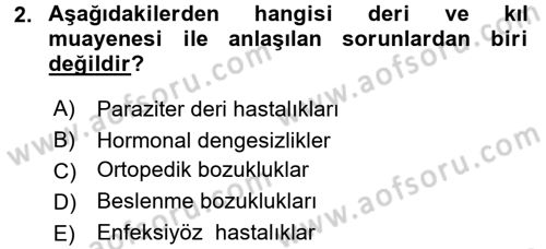 Temel Klinik Bilgisi Dersi 2015 - 2016 Yılı (Final) Dönem Sonu Sınav Soruları 2. Soru