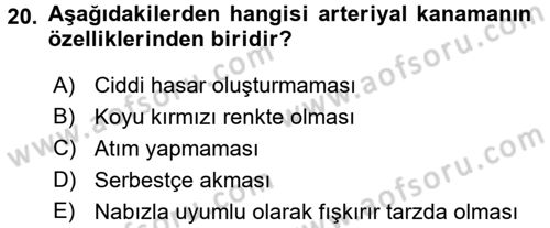 Temel Klinik Bilgisi Dersi 2015 - 2016 Yılı (Final) Dönem Sonu Sınav Soruları 20. Soru