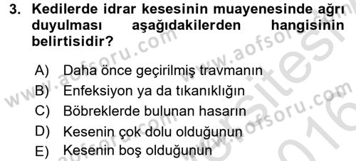Temel Klinik Bilgisi Dersi 2015 - 2016 Yılı (Final) Dönem Sonu Sınav Soruları 3. Soru