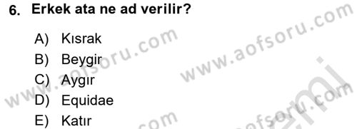 Temel Klinik Bilgisi Dersi 2015 - 2016 Yılı (Final) Dönem Sonu Sınav Soruları 6. Soru