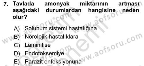 Temel Klinik Bilgisi Dersi 2015 - 2016 Yılı (Final) Dönem Sonu Sınav Soruları 7. Soru
