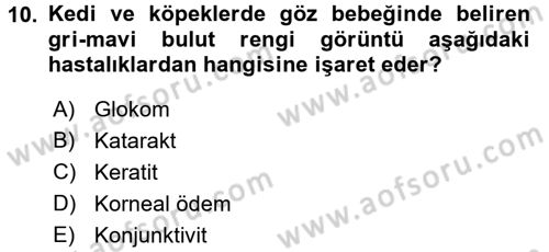 Temel Klinik Bilgisi Dersi 2016 - 2017 Yılı 3 Ders Sınav Soruları 10. Soru