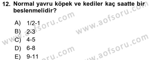 Temel Klinik Bilgisi Dersi 2016 - 2017 Yılı 3 Ders Sınav Soruları 12. Soru