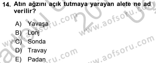 Temel Klinik Bilgisi Dersi 2016 - 2017 Yılı 3 Ders Sınav Soruları 14. Soru