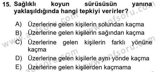 Temel Klinik Bilgisi Dersi 2016 - 2017 Yılı 3 Ders Sınav Soruları 15. Soru
